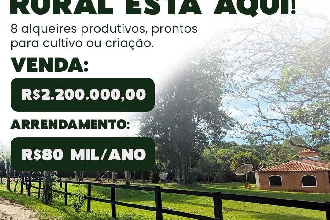 WhatsApp Image 2025-08-13 at 19.57.57 (1)