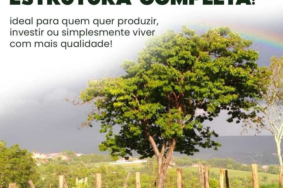 WhatsApp Image 2025-08-13 at 19.57.57