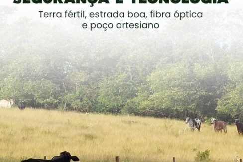 WhatsApp Image 2025-08-13 at 19.57.57 (2)