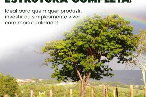 WhatsApp Image 2025-08-13 at 19.57.57