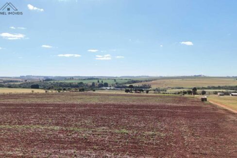 WhatsApp Image 2025-08-13 at 19.59.11