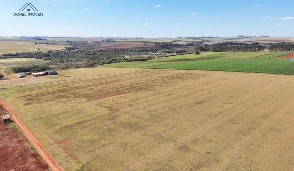 WhatsApp Image 2025-08-13 at 19.59.12 (1)