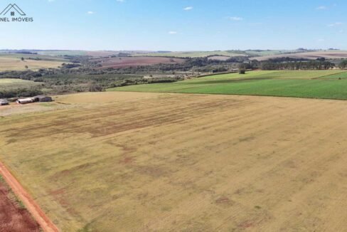 WhatsApp Image 2025-08-13 at 19.59.12 (1)