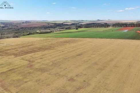 WhatsApp Image 2025-08-13 at 19.59.12 (2)