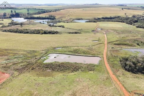 WhatsApp Image 2025-08-13 at 19.59.14 (2)