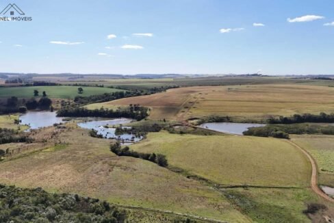 WhatsApp Image 2025-08-13 at 19.59.15