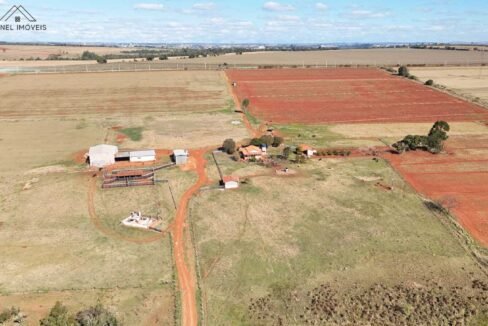 WhatsApp Image 2025-08-13 at 19.59.17 (1)