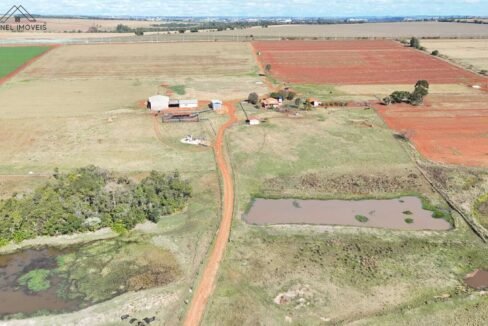 WhatsApp Image 2025-08-13 at 19.59.17