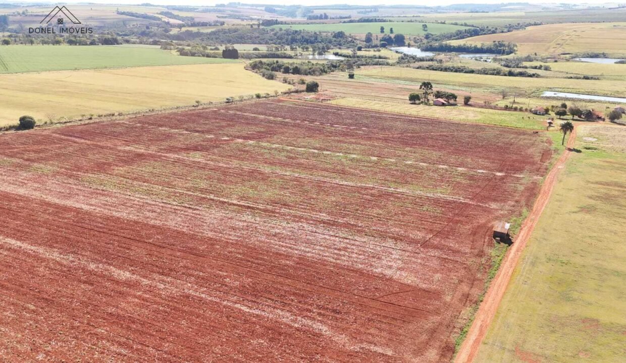 WhatsApp Image 2025-08-13 at 19.59.19 (1)