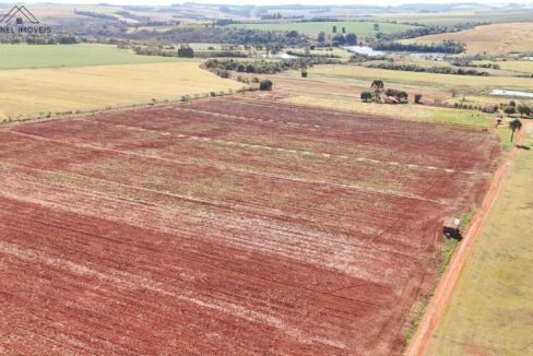 WhatsApp Image 2025-08-13 at 19.59.19 (1)