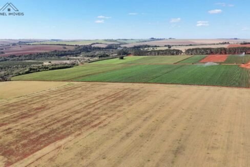 WhatsApp Image 2025-08-13 at 19.59.19