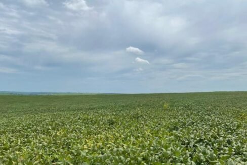 WhatsApp Image 2025-08-13 at 19.59.46