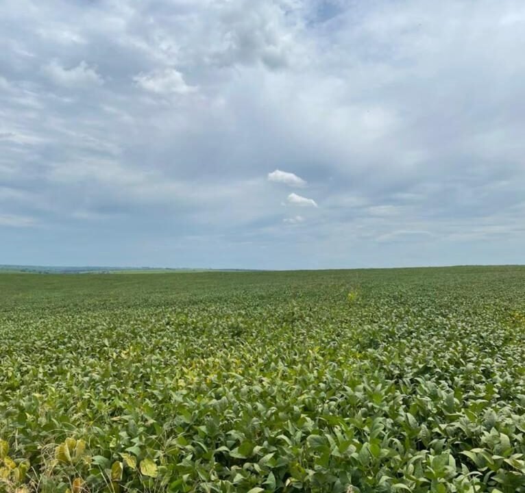 WhatsApp Image 2025-08-13 at 19.59.46