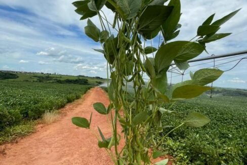 WhatsApp Image 2025-08-13 at 19.59.47 (1)