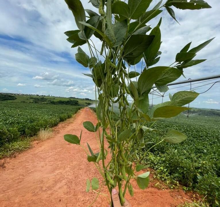 WhatsApp Image 2025-08-13 at 19.59.47 (1)