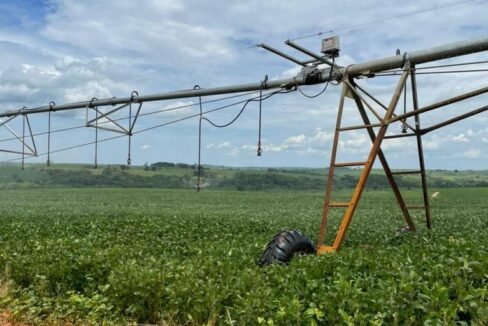 WhatsApp Image 2025-08-13 at 19.59.47 (2)