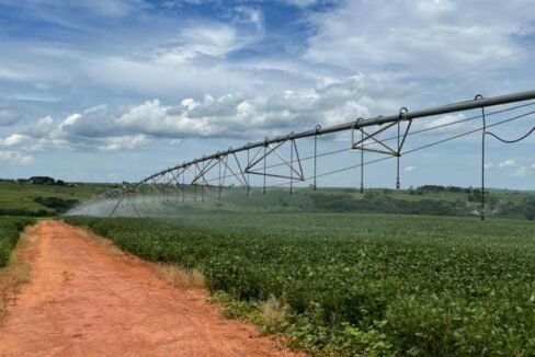 WhatsApp Image 2025-08-13 at 19.59.47