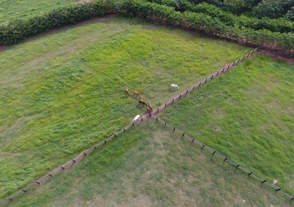 WhatsApp Image 2025-08-13 at 19.59.48 (1)