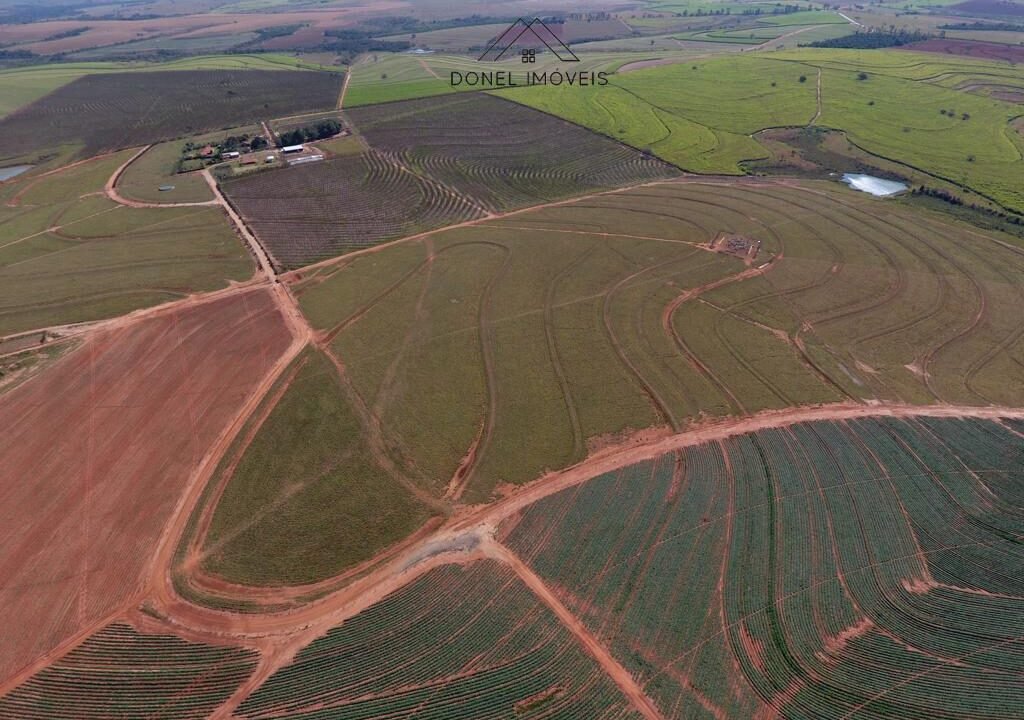 WhatsApp Image 2025-08-13 at 19.59.48