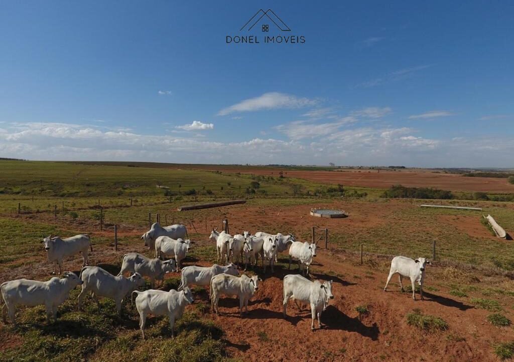 WhatsApp Image 2025-08-13 at 19.59.49