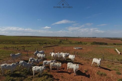 WhatsApp Image 2025-08-13 at 19.59.49