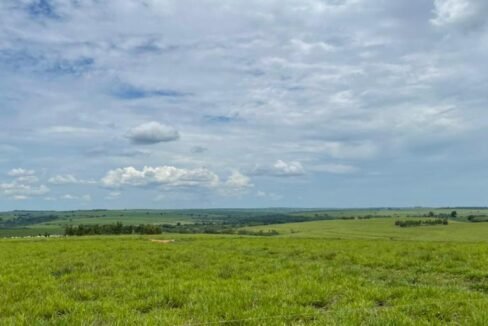 WhatsApp Image 2025-08-13 at 19.59.51