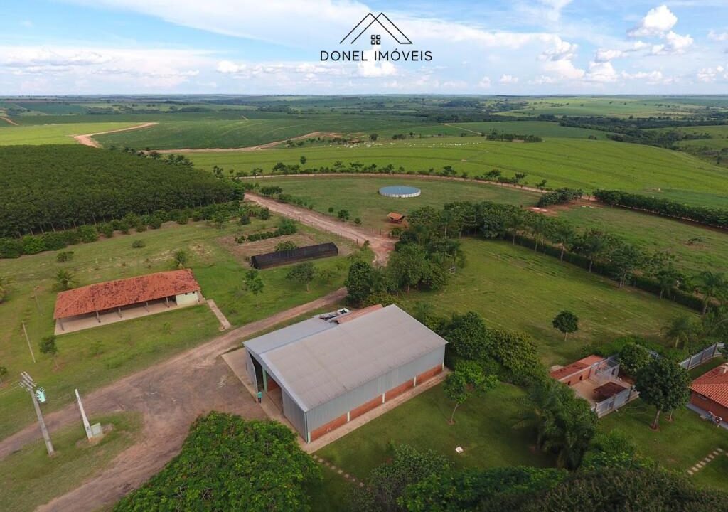 WhatsApp Image 2025-08-13 at 19.59.52