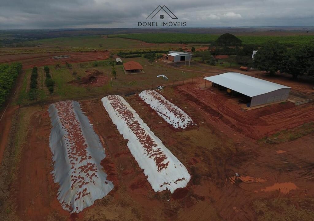 WhatsApp Image 2025-08-13 at 19.59.53