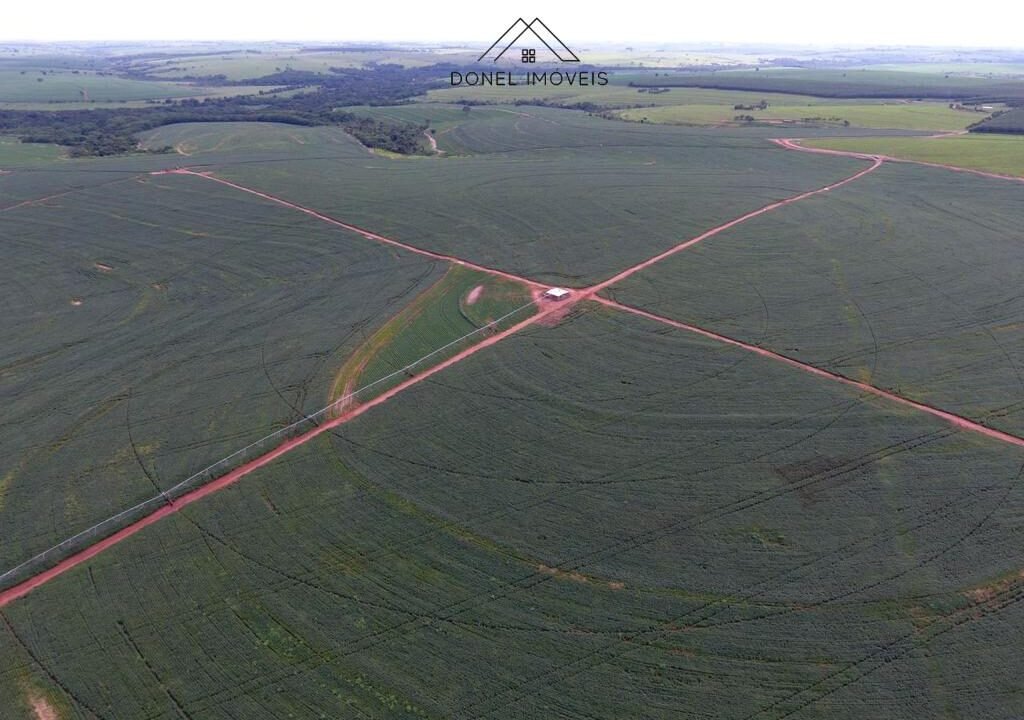 WhatsApp Image 2025-08-13 at 19.59.54