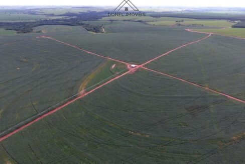 WhatsApp Image 2025-08-13 at 19.59.54