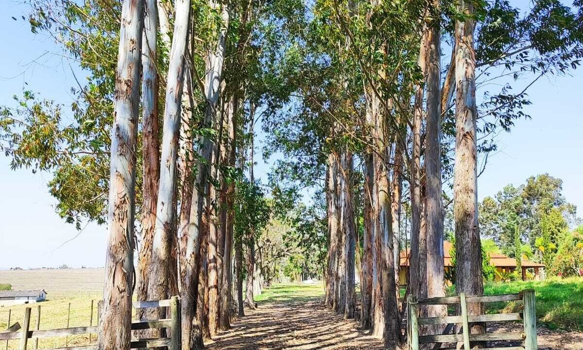 WhatsApp Image 2025-08-27 at 15.37.55 (1)