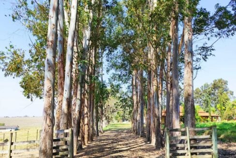 WhatsApp Image 2025-08-27 at 15.37.55 (1)