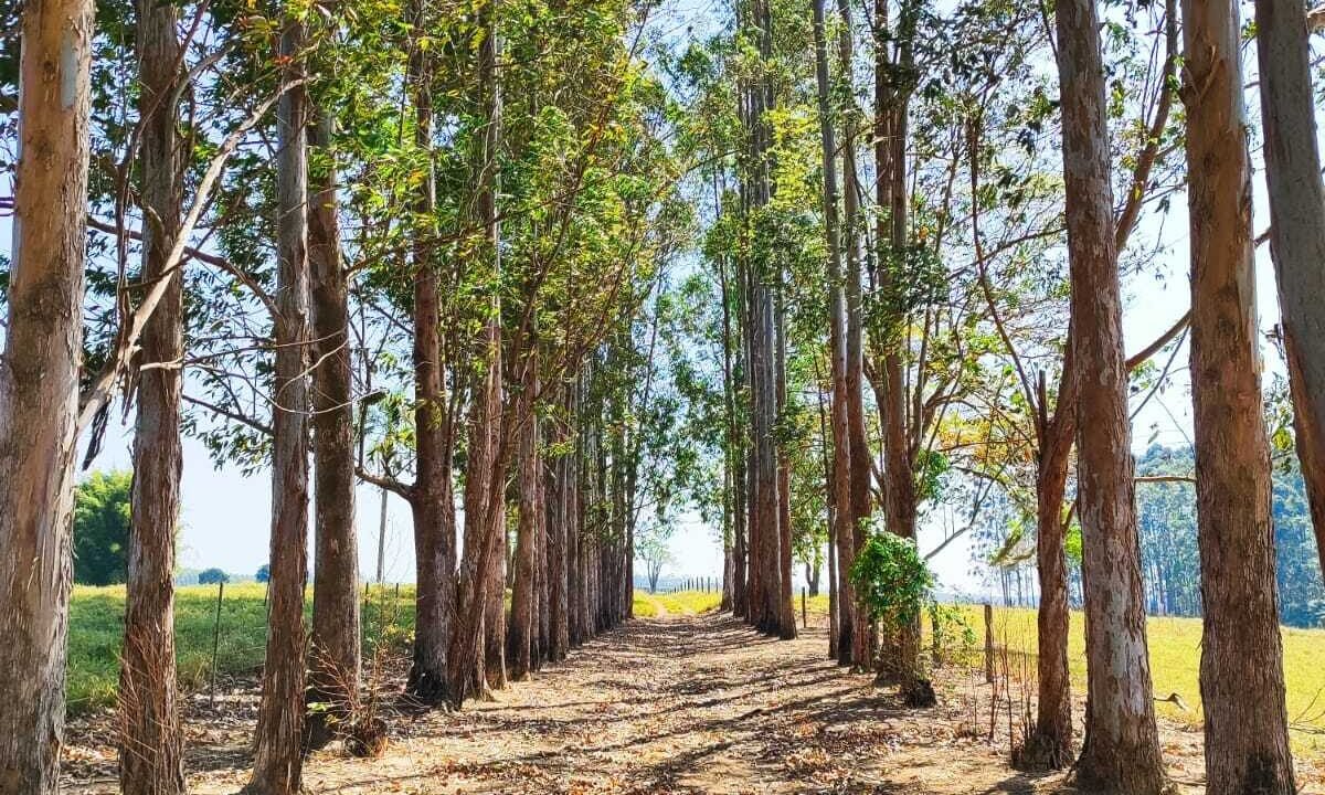 WhatsApp Image 2025-08-27 at 15.37.55