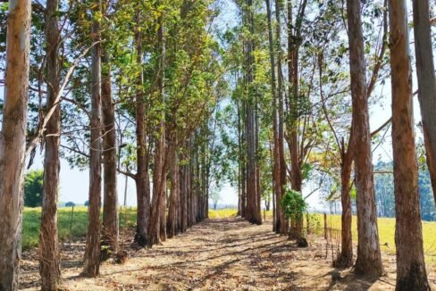 WhatsApp Image 2025-08-27 at 15.37.55