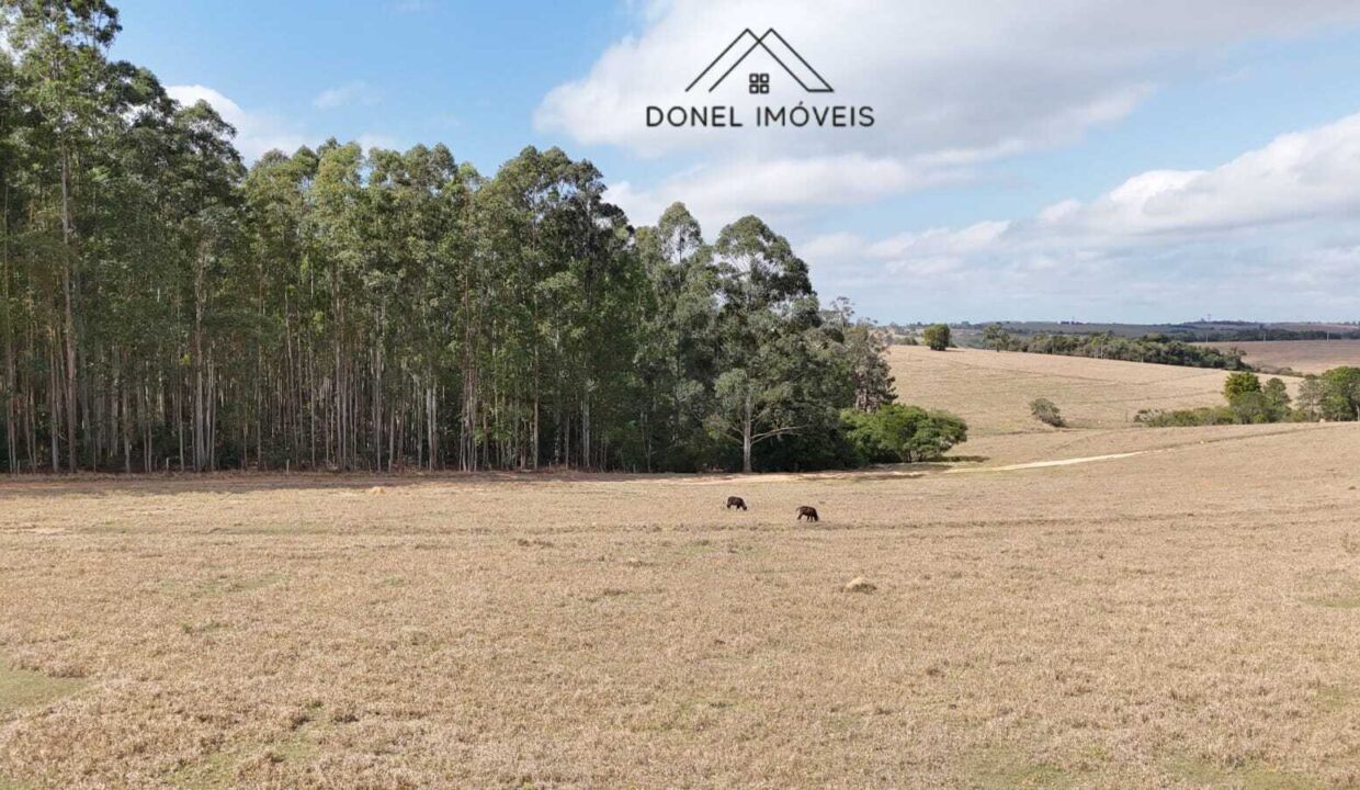 WhatsApp Image 2025-08-27 at 15.37.57