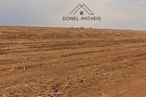 WhatsApp Image 2025-08-27 at 15.48.53