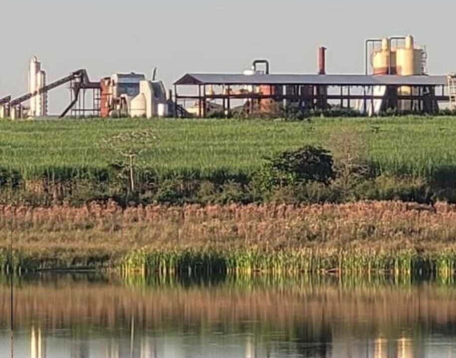 WhatsApp Image 2025-08-27 at 15.50.00