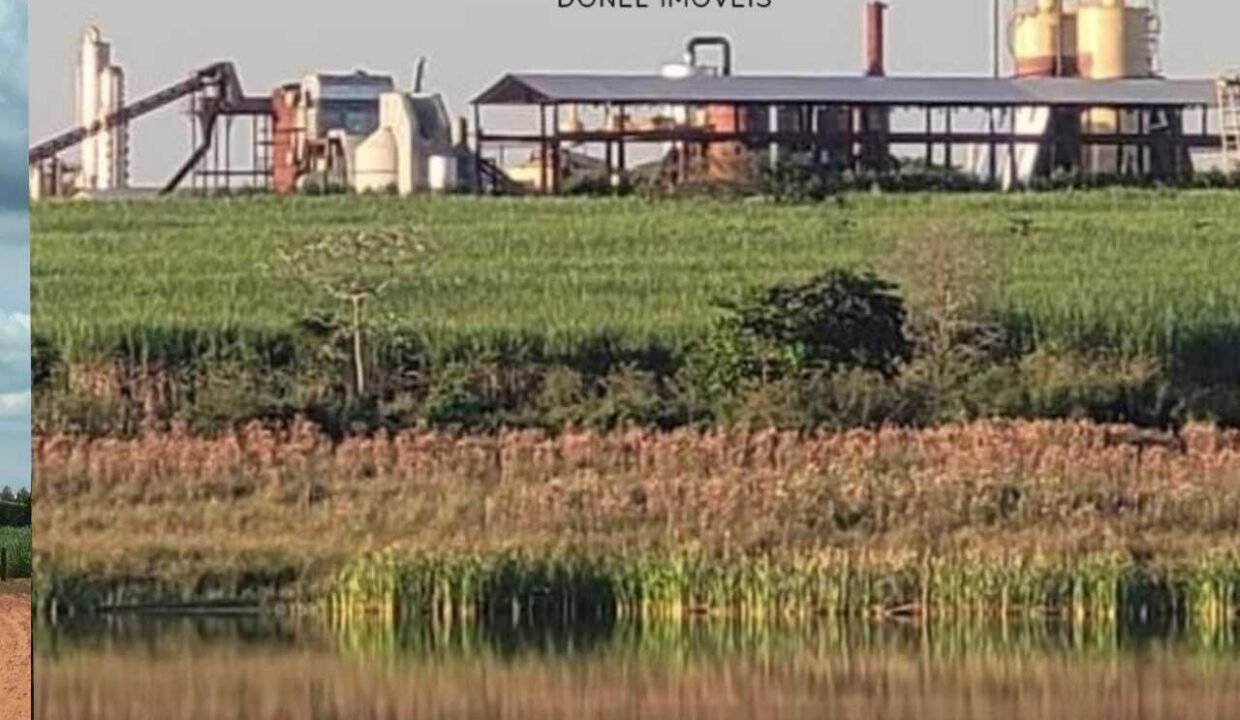 WhatsApp Image 2025-08-27 at 15.50.01 (1)