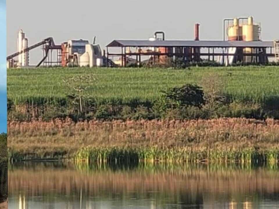 WhatsApp Image 2025-08-27 at 15.50.01