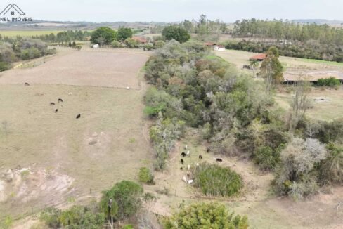 WhatsApp Image 2025-09-08 at 12.36.39