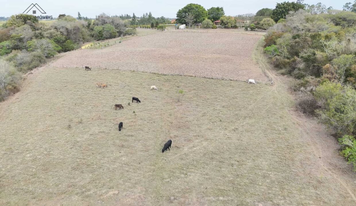 WhatsApp Image 2025-09-08 at 12.36.47