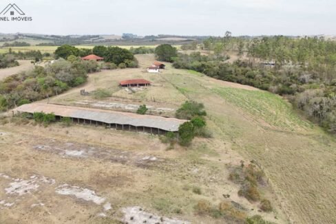 WhatsApp Image 2025-09-08 at 12.36.55