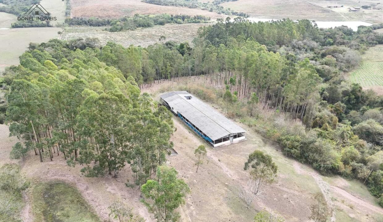 WhatsApp Image 2025-09-08 at 12.36.58