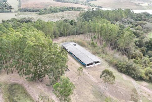 WhatsApp Image 2025-09-08 at 12.36.58