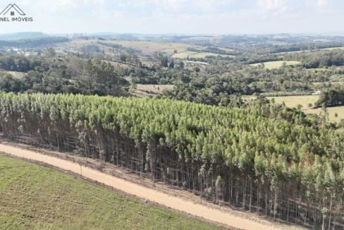 WhatsApp Image 2025-09-17 at 19.02.22