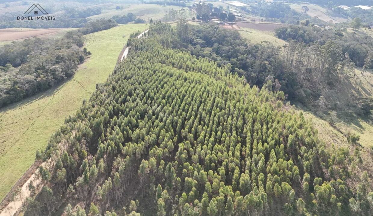 WhatsApp Image 2025-09-17 at 19.02.23