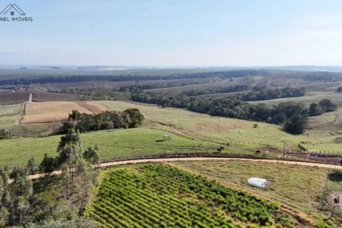 WhatsApp Image 2025-09-17 at 19.02.25