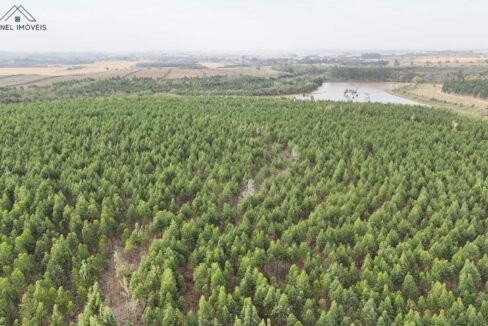 WhatsApp Image 2025-09-17 at 19.02.27 (1)