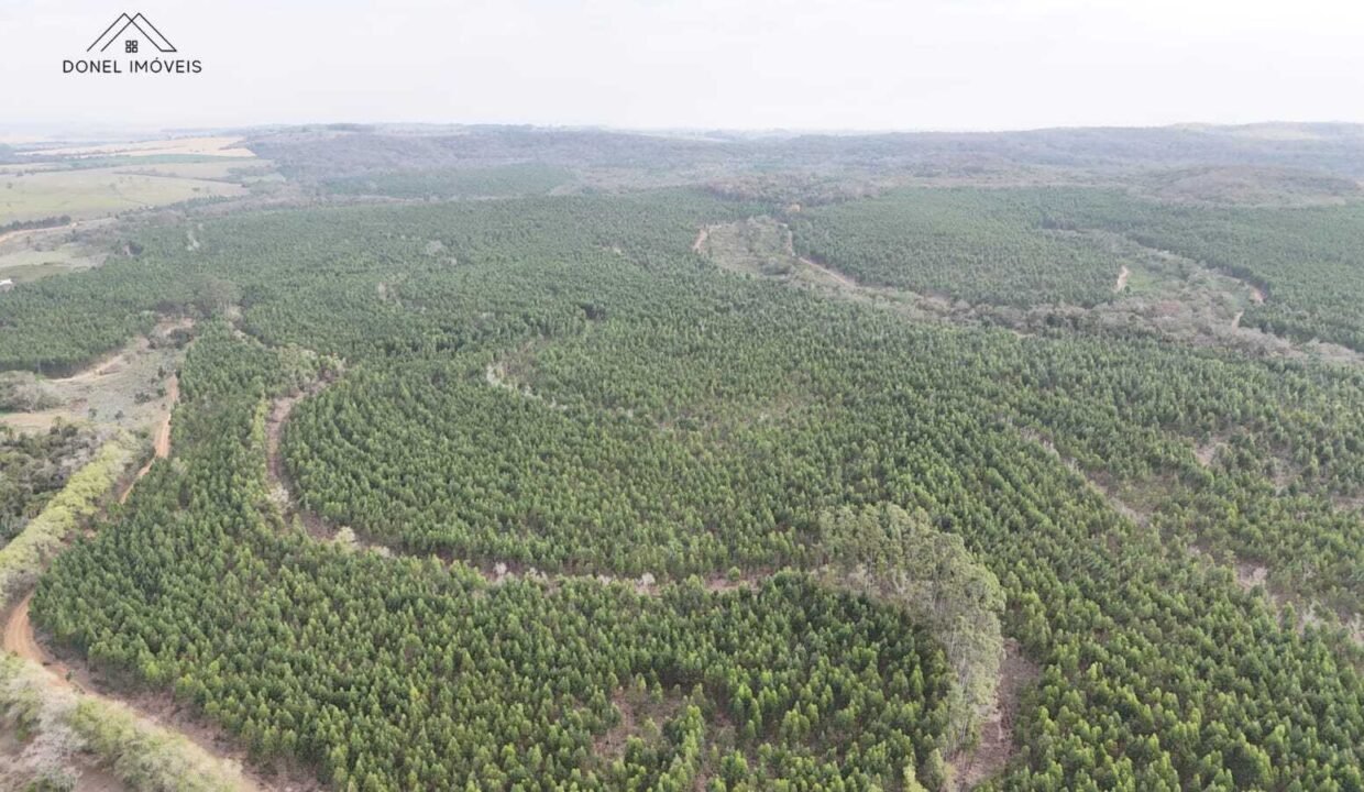 WhatsApp Image 2025-09-17 at 19.02.27