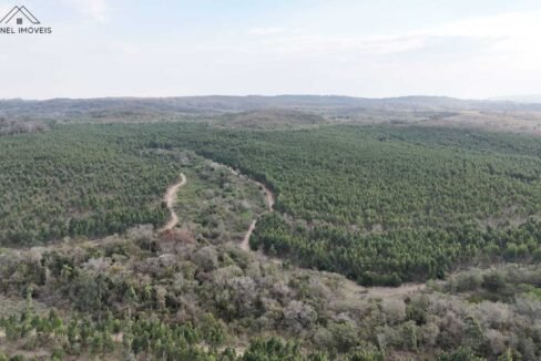 WhatsApp Image 2025-09-17 at 19.02.30